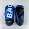 Boxerské rukavice BackFist Gemini