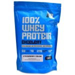 Body nutrition WPC whey protein 80 1000 g – Hledejceny.cz