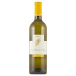 Friuli Cozzarolo Pinot Grigio DOC 2022 12,5% 0,75 l (holá láhev) – Hledejceny.cz