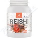 Allnature Reishi 500 mg 100 rostlinných kapslí – Hledejceny.cz