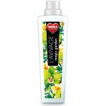 Dedra avivážní kondicionér magic garden 750 ml – Zboží Mobilmania