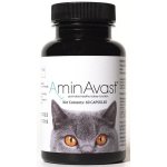 AminAvast Kočka 60 cps – Zboží Dáma