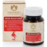 Iron Rasayana 60 tablet – Hledejceny.cz