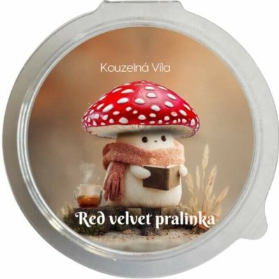 Kouzelná Víla sojový vosk Red velvet pralinka 20 g – Zboží Dáma