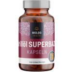 Woldohealth Krill olej SUPERBA2 120 softgel kapslí – Hledejceny.cz