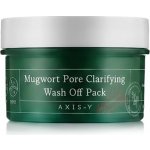Axis y Mugwort Pore Clarifying Wash Off Pack 100 ml – Hledejceny.cz