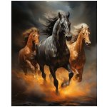 Norimpex Diamantové malování Divoké trio 30 x 40 cm – Sleviste.cz
