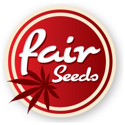 Fair Seeds Jack Herer semena neobsahují THC 1 ks
