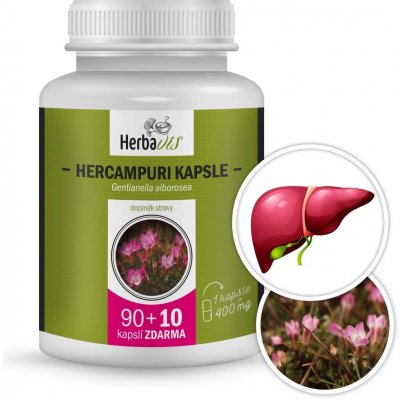 Herbavis Hercampuri Gentianella alborosea Čistič jater 100 kapslí – Hledejceny.cz