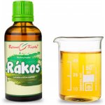 Bylinné kapky Pavlovy bylinné kapky Rákos TCM tinktura 50 ml – Hledejceny.cz