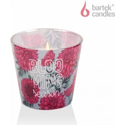 Bartek Candles Blooming Season Dahlia 115 g