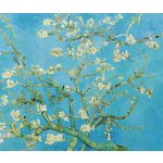 Mandlový květ - Vincent van Gogh Bílý okraj: bez okraje – Zboží Dáma