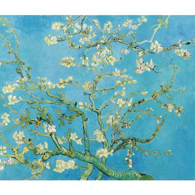 Mandlový květ - Vincent van Gogh Bílý okraj: bez okraje – Zboží Dáma