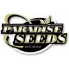 Semena konopí Paradise Seeds Space Cookies semena neobsahují THC 3 ks