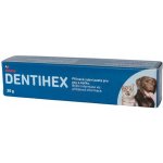 Livisto Dentihex 2mg/g pasta pro psy a kočky 20 g – Zboží Dáma