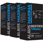 Alavis Maxima Bestier tribulus 180 kapslí – Zboží Dáma