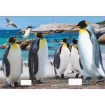 Reas Pack Sešit 544 A5 linkovaný 40l 3D MIX – Zboží Dáma