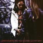 Kravitz Lenny - Are You Gonna Go My Way CD – Hledejceny.cz