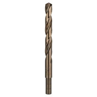 Bosch 2608585864 – Hledejceny.cz