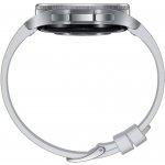 Samsung Galaxy Watch6 Classic 43mm SM-R950 – Zboží Mobilmania