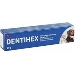Livisto Dentihex 2mg/g pasta pro psy a kočky 20 g – Zboží Dáma