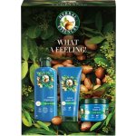 Herbal Essences Argan Oil hydratační šampon pro poškozené vlasy 350 ml + hydratační kondicionér pro poškozené vlasy 250 ml – Zboží Dáma