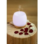 ETA Sento 2634 90000 – Zboží Dáma