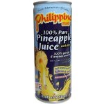 Philippine brand Ananasový džus s dužinou 100% 250 ml – Zbozi.Blesk.cz