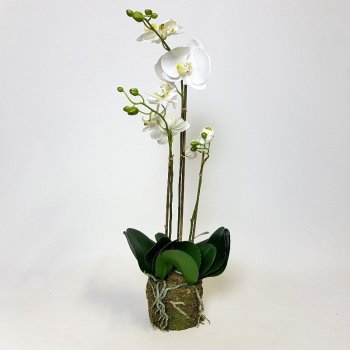 Umělá Orchidej White 3 st. 70cm