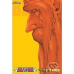 Bleach (3 in 1) Volume 20 - Tite Kubo – Hledejceny.cz