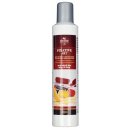 Koh-i-noor Fixativ Art 14259 sprej s UV filtrem, 300 ml