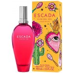 Escada Flor del Sol toaletní voda dámská 100 ml – Hledejceny.cz