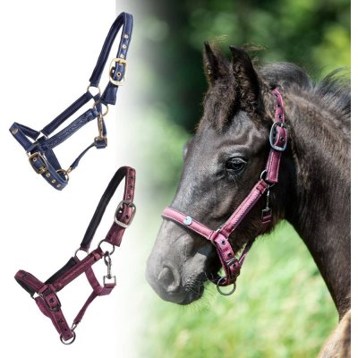 QHP Ohlávka hříběcí Lily bordo – Sleviste.cz