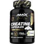 Amix Black Line Creatine Creapure Capsules 300 kapslí – Zboží Mobilmania
