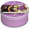 Svíčka Country Candle Coconut & Blueberry Tart 35 g