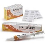 GlutaMax 30 tbl – Hledejceny.cz