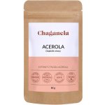 Chaganela Acerola přírodní vitamín C 80 g – Hledejceny.cz
