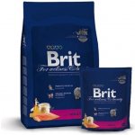 Brit Premium Adult losos 8 kg – Zboží Mobilmania