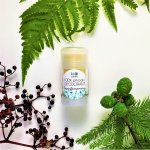 Biorythme 100% přírodní deodorant Neparfémovaný roll-on 30 g – Hledejceny.cz