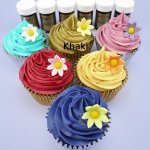 Sugarflair Gelová barva Khaki 25 g – Hledejceny.cz