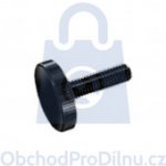 Šroub s nízkou rýhovanou hlavou, DIN 653, bez úpravy M3 x 6, balení 1 ks – Sleviste.cz