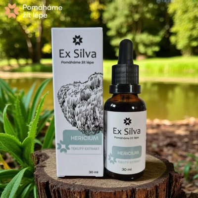 Ex Silva Hericium Přírodní výživa neuronů 30 ml – Hledejceny.cz