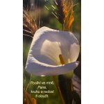 Posilni ve mně, Pane, touhu a radost ti sloužit (MEX 66) – Hledejceny.cz