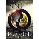 Sn íh nebo popel - Sara Raaschová