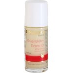 Dr. Hauschka Růžový roll-on 50 ml – Zboží Dáma