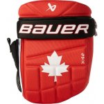 BAUER batoh Glove Backpack YTH Chicago – Zboží Mobilmania