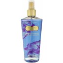 Victoria´s Secret Endless Love tělový sprej 250 ml