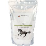 Waldhausen MSM 1 kg – Hledejceny.cz