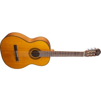 TAKAMINE GC3