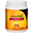 Superionherbs Ganoderma Spor 90 kapslí